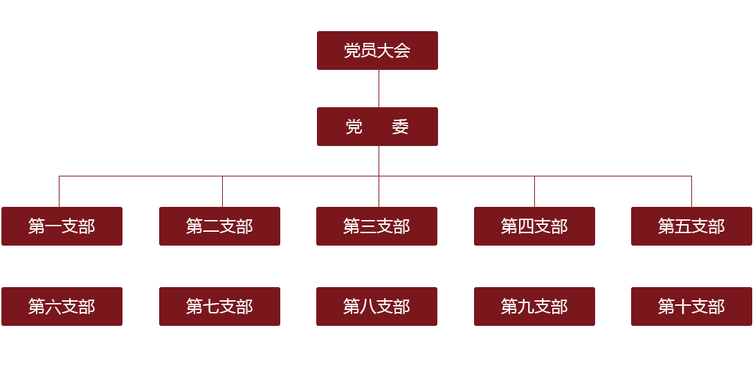 党组织架构(图1)